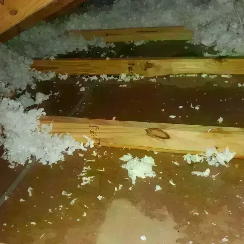 Attic Water Damage in Montross, VA